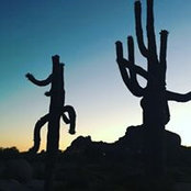 Christine Foley's photo