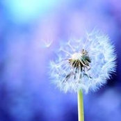 Callie Turk's photo