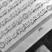 Manar Gomaa's photo
