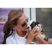 Nikki Lewis's photo