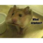 Cyndy Mudge's photo