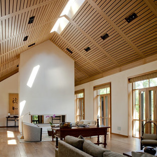 Vaulted Ceiling With Skylights Living Room Ideas Photos Houzz