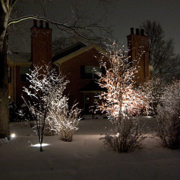 Winter Wonderland Lighting
