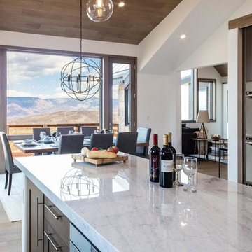 Aspen, Colorado Rustic Modern Home-Cobalt White Oak