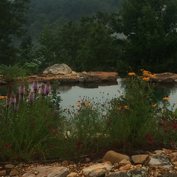 Water Features
