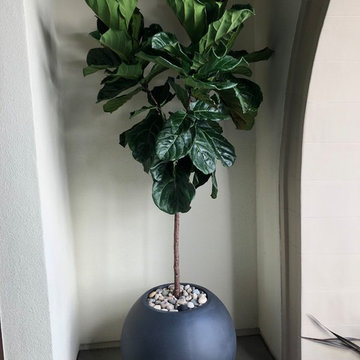 Artesana San Diego
