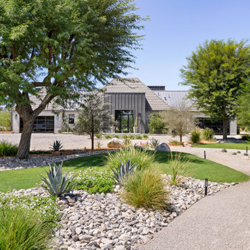 Mesquite 38
