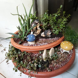 Project No.- 137 - Indoor Pots & Planters