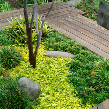 Secret Sanctuary Garden
