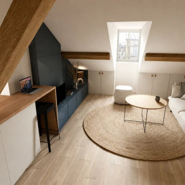 Rendu 3D d'un studio sous combles de 16 m², Versailles