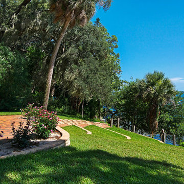 "The Cove"