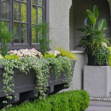 window box