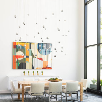 Preston Hollow Modern Minimalist Furnishing