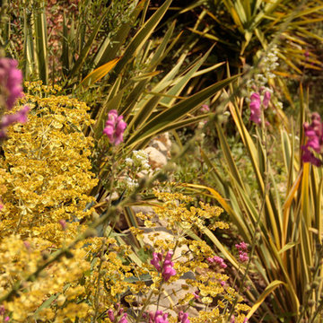 JARDIN & MURETTES