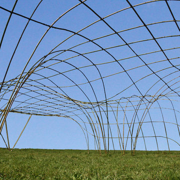 Structure Géante en bambou