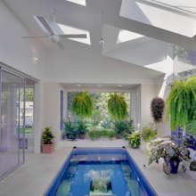 plantes