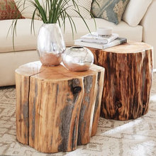 RB- Stump Collections