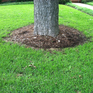 Lawn care and mulch
