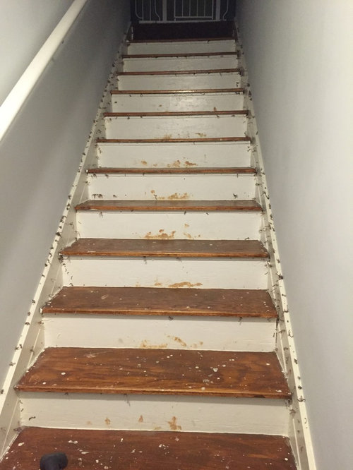 Removed carpet from stairs... Uh oh?