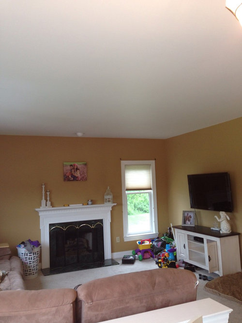 Need a chic/vintage family room