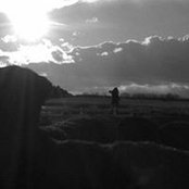 Tracy Ballard's photo