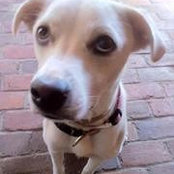 Lynda Hogan's photo