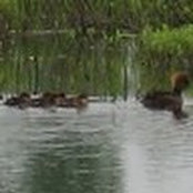Kathryn Au's photo