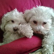 SHARON RUGH's photo