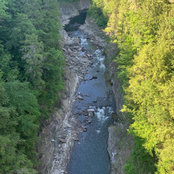 Sean Lannon's photo
