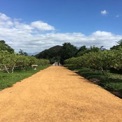 Katie Muenter's photo