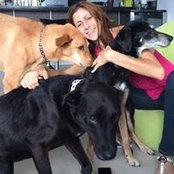 Judith Blumenkranc's photo