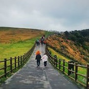 Janice Seah SL's photo