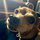 Annie Apk