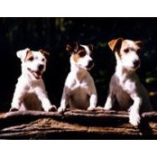 Kimberly Aronson's photo