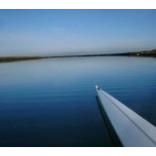 Nora Cain's photo