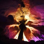 Michael Pugliese's photo