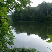 Andrew Pike's photo