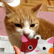 Yoko Sato's photo