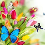 Diane Wright's photo