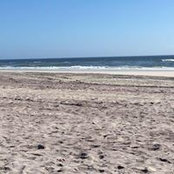 Karen Goren-Dougherty's photo