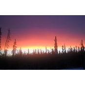 Kathy Raynes's photo