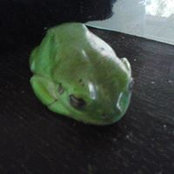Callan Davis's photo