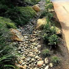 Back Yard Dry Stream
