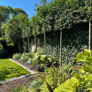 Bromley Formal Front Garden