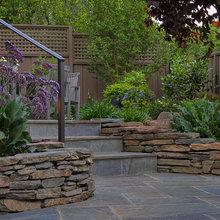 Liza's Traditional landscaping ideas