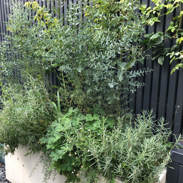 Using every square inch: a welcoming front garden giving year round joy