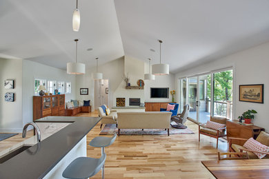 Large trendy open concept light wood floor living room photo in Other with white walls, a standard fireplace and a plaster fireplace