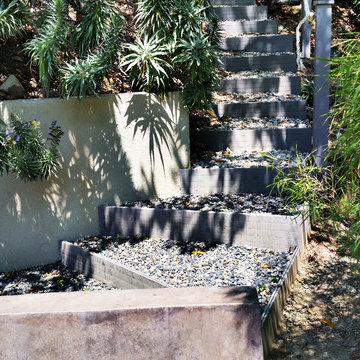 Landscape Architecture | Beverly Hills