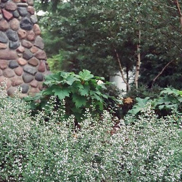 Cottage 474