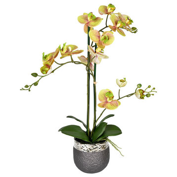 Vickerman 235" Artificial Potted Real Touch Green Phalaenopsis Spray